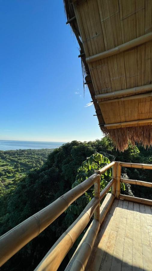 Niuwi Hostel Buritaca Exteriér fotografie