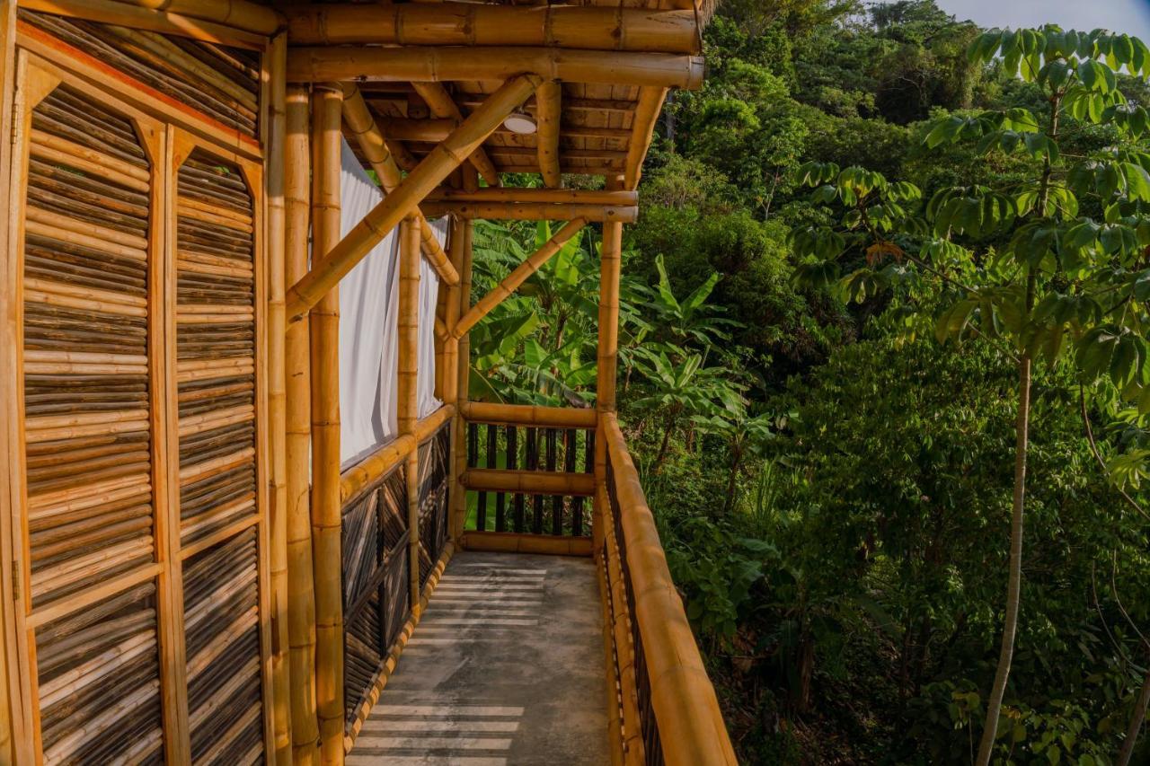 Niuwi Hostel Buritaca Exteriér fotografie