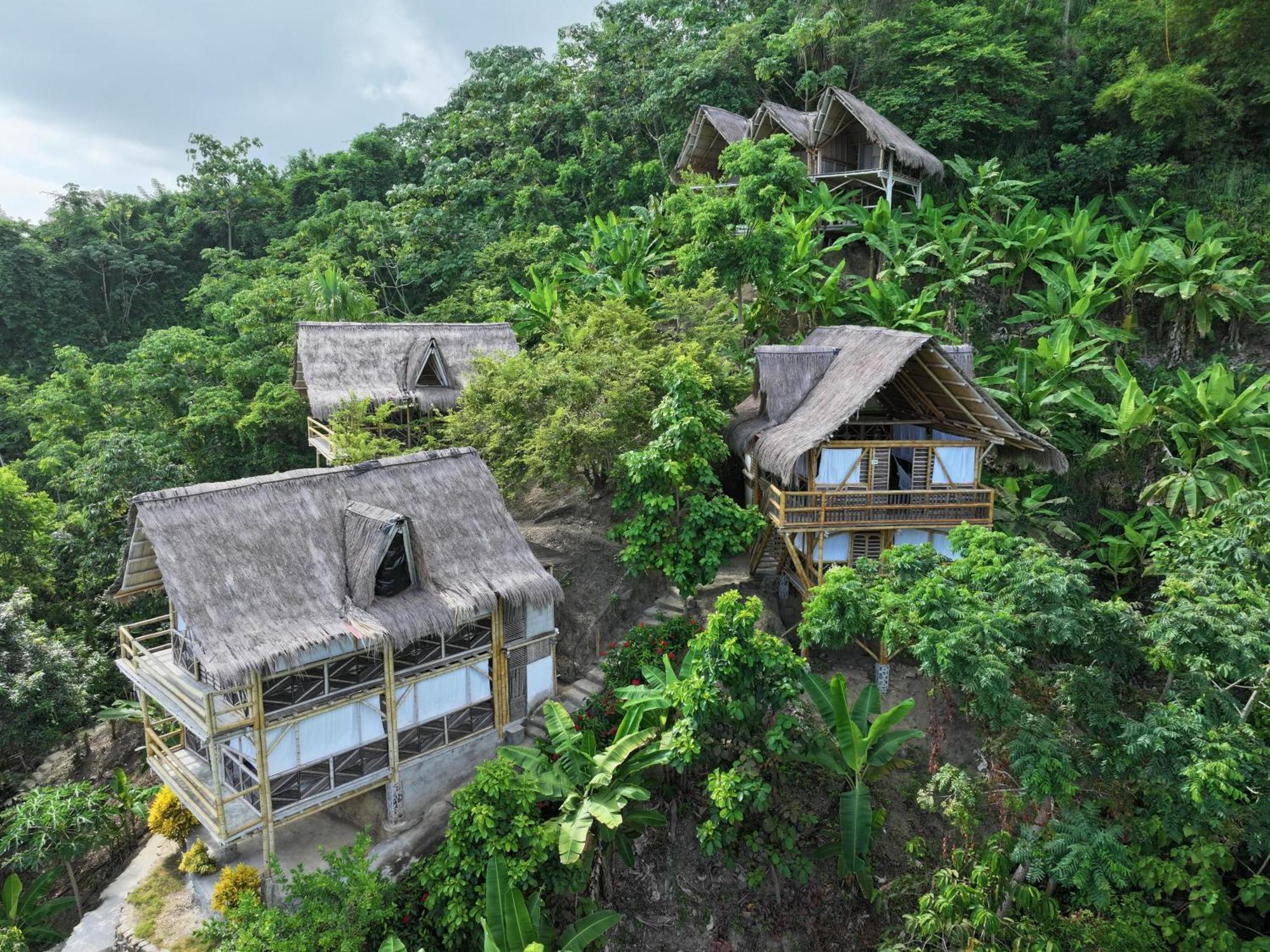 Niuwi Hostel Buritaca Exteriér fotografie